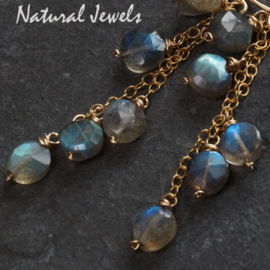 xxx - verkocht xxx Gereserveerd - Gouden oorbellen bunch of Labradorites