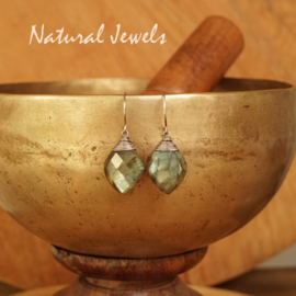 Zilveren Labradoriet oorbellen