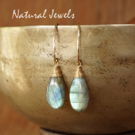 xxx - verkocht - xxx Gouden Labradoriet oorbellen