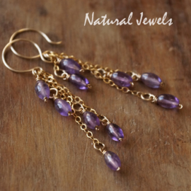 xxx - verkocht - xxx Gouden oorbellen Ametist - bunch of Amethyst