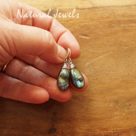 Labradoriet oorbellen van zilver