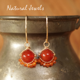 xxx -  verkocht - xxx Carneool oorbellen goud