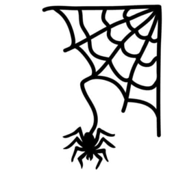 Herbruikbare statische raamfolie | spinnenweb met spin