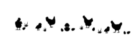 Herbruikbare statische raamfolie | Kippen