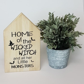 Houten huis | Wicked Witch
