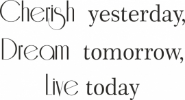 Trapsticker: Cherish yesterday,Dream tomorrow, Live today