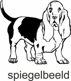 Basset F2-002 spiegelbeeld prijs vanaf