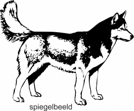 Husky F2-097 spiegelbeeld  prijs vanaf