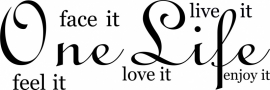 muurtekst: One Life