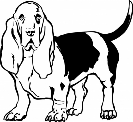 Basset F2-002 prijs vanaf