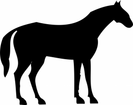 paard ( grote afmetingen) A9-030