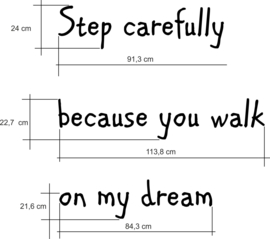 Step carefully because you walk on my dream
