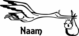 ooievaar met naam D4-031