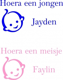 Hoera een jongen / meisje