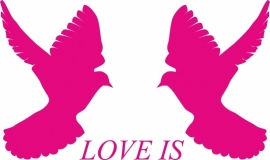 muursticker: 2 duiven met tekst LOVE IS - prijs vanaf