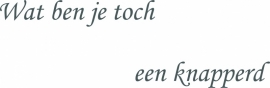 Spiegeltekst: Wat ben je toch een knapperd