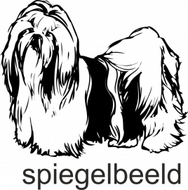 Chihtzu F4-118  spiegelbeeld prijs vanaf
