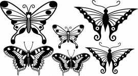 vlinder set 2 van 6 vlinders