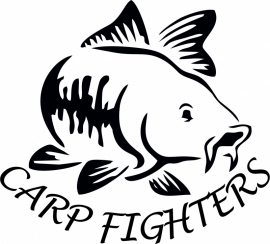 Carp fighters 2