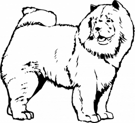 Chow-Chow F4-117 prijs vanaf