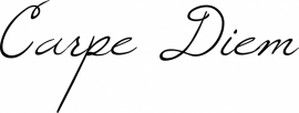 muursticker: Carpe Diem
