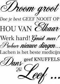 muursticker: Droom groot