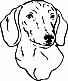 sticker tekkel