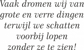 trapsticker: Vaak dromen wij van grote verre dingen ......