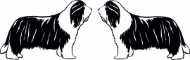 muursticker: Bearded Collie