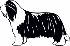 muursticker: Bearded Collie