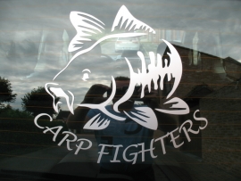 Carp fighters 2