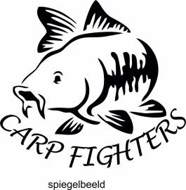 Carp fighters 2