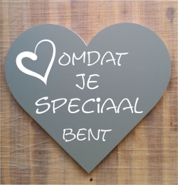 Tekstbord ( Hart vorm ) Omdat je speciaal bent