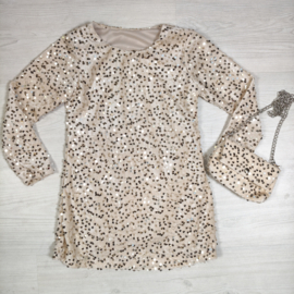 Party Glam Sequin Dress & bag - beige