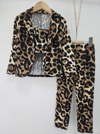 What you need set - Leopard