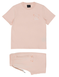 Icon swipe set - zalm (verzenddatum 24 apr)