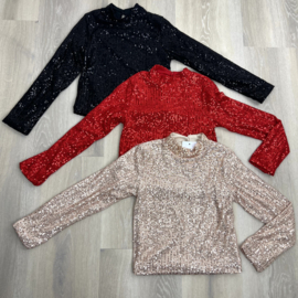 Glitter top - longsleeves