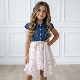 Country Denim Floral Dress