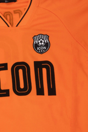 Icon number 10 set - oranje