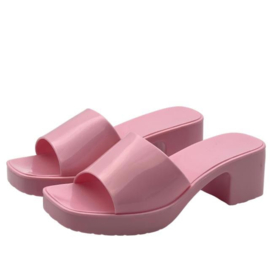 Pink or Blue slipper