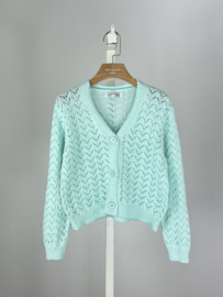 Sweet Breeze Openwork Vest - mint of roze