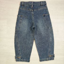 Sparkle Utility Jeans