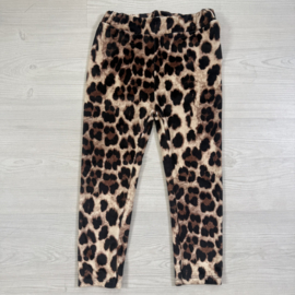 Wild chic legging