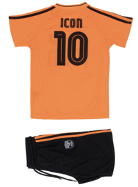 Icon number 10 set - oranje