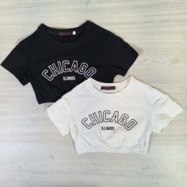 Chicago crop top