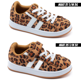 My fave leopard sneakers