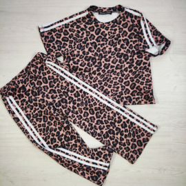 Leo stripes set - bruin