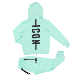 Back to Icon set - mint