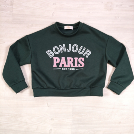 Bonjour Paris Sweater