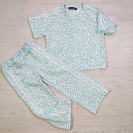 Leo stripes set - mint